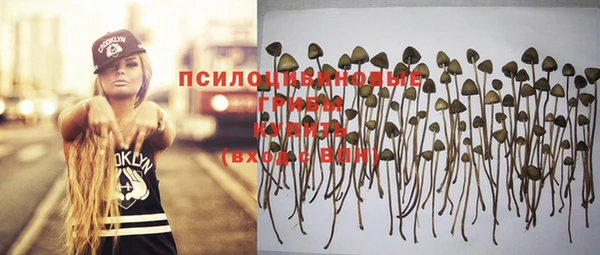 шишки Бронницы