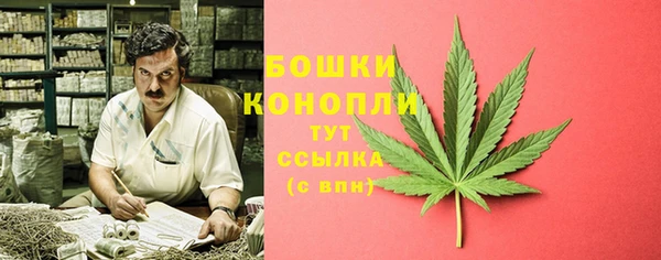 шишки Бронницы